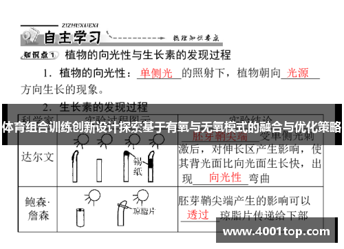 体育组合训练创新设计探索基于有氧与无氧模式的融合与优化策略