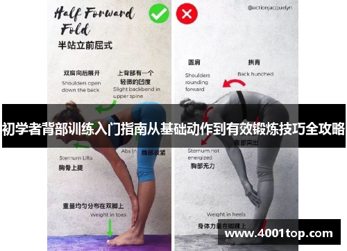 初学者背部训练入门指南从基础动作到有效锻炼技巧全攻略
